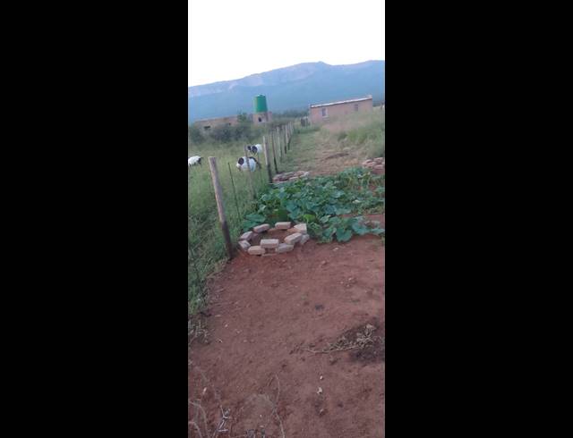 14HA FARM FOR SALE IN HA-MATSA